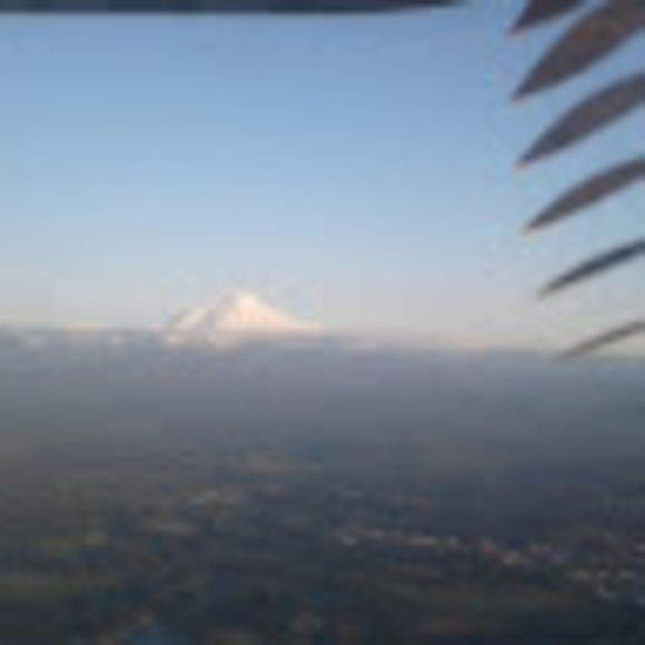 Meet your Posher, Lisa - Picture 1 of 1